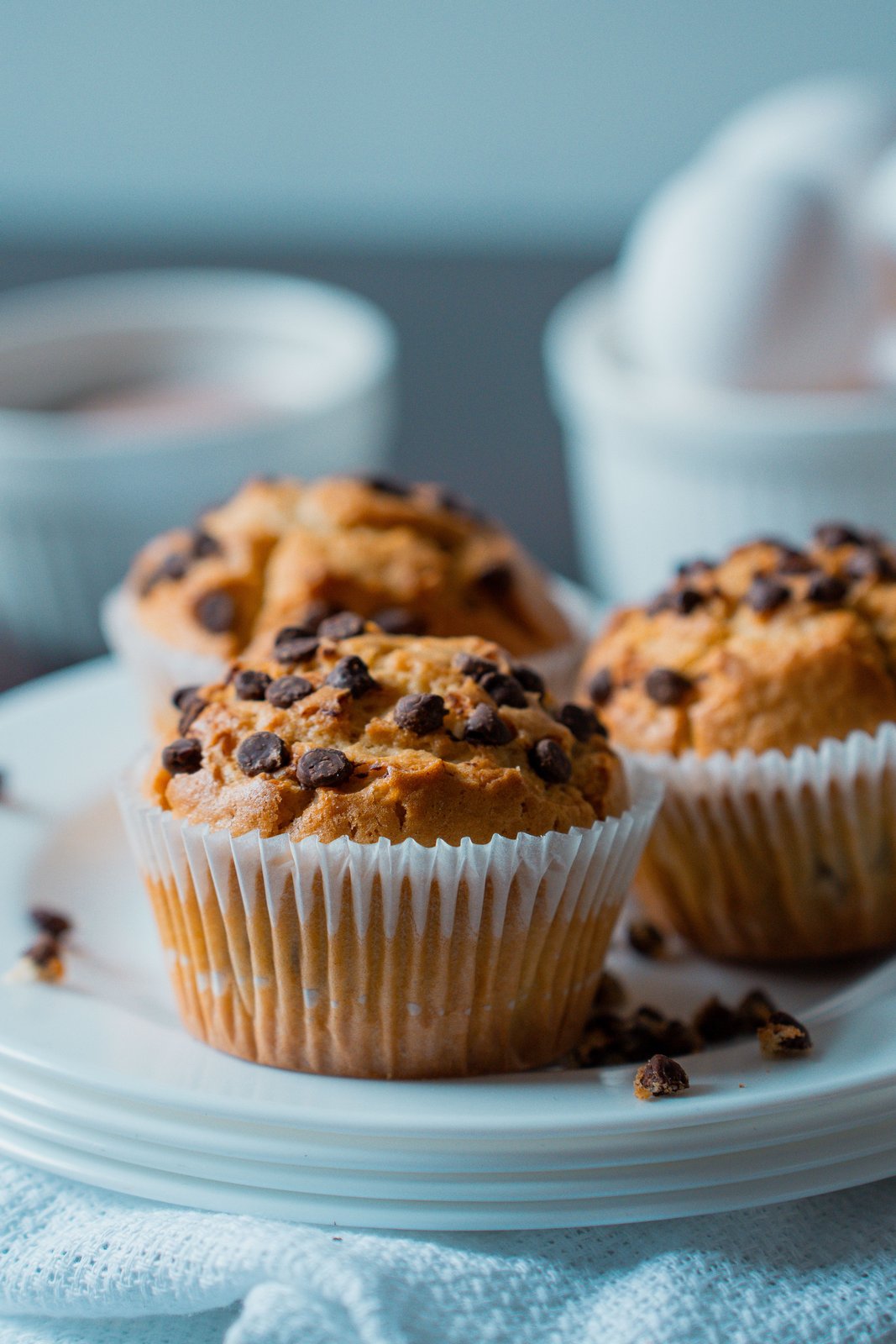 Easy Chocolate Chip Muffins