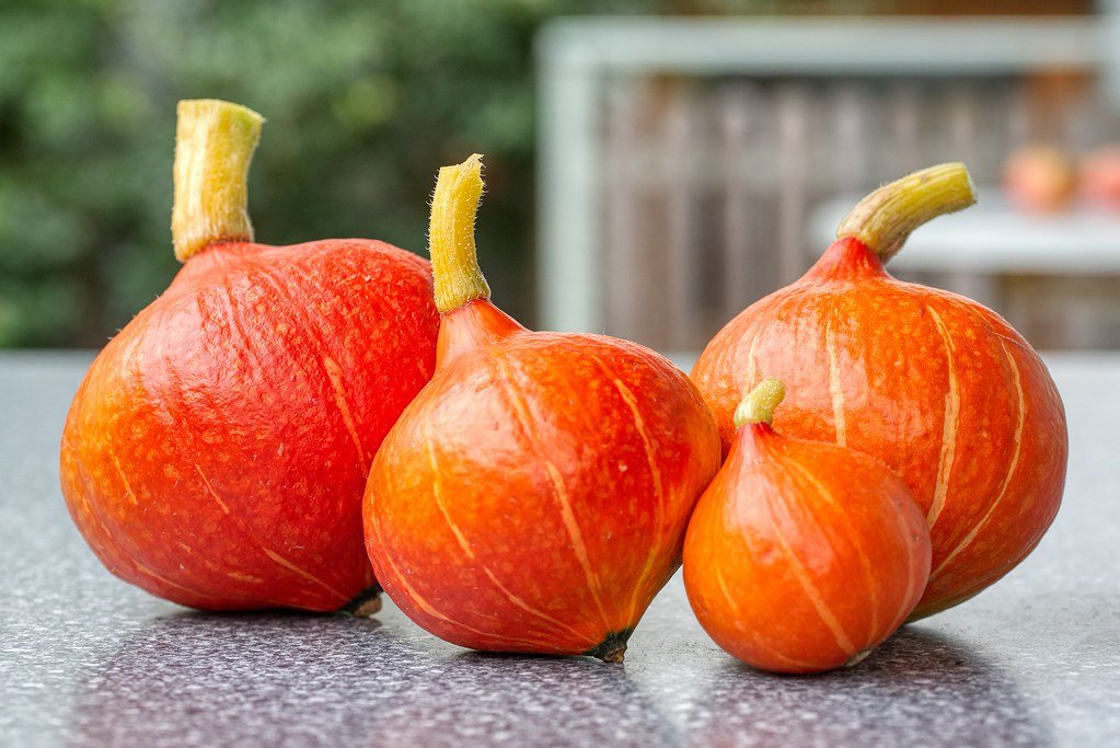 Roasted Red Kuri Squash